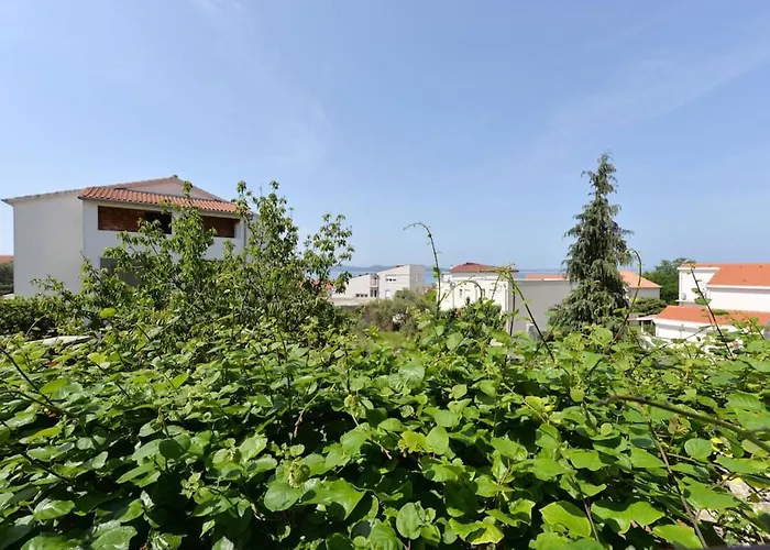 Lägenhet Mima Zadar